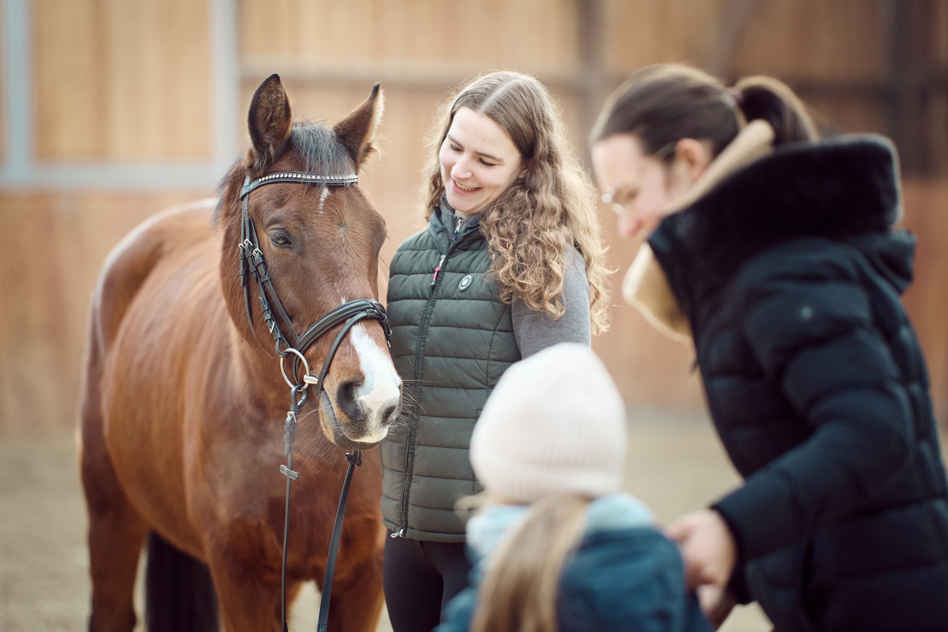 A bay school horse with a white blaze and a bridle stands in a yard; next to it, a young woman is smiling; in the foreground, a child and another person can be seen out of focus.