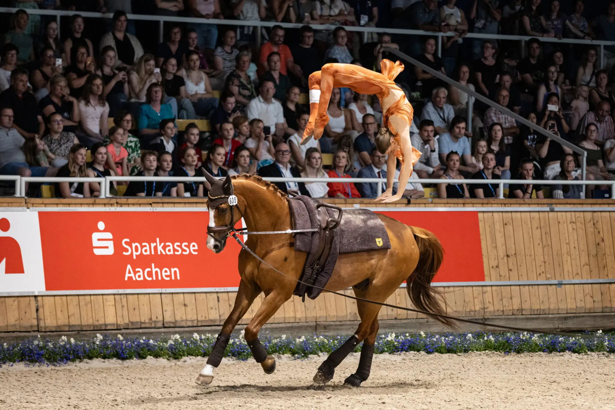 A vaulting scene in an indoor arena: A brown horse is galloping on a lunge line while a vaulter in an orange leotard performs a spectacular backward somersault over its back; in the background, many spectators are seated in the stands, and a red banner bears the words “Sparkasse Aachen.”