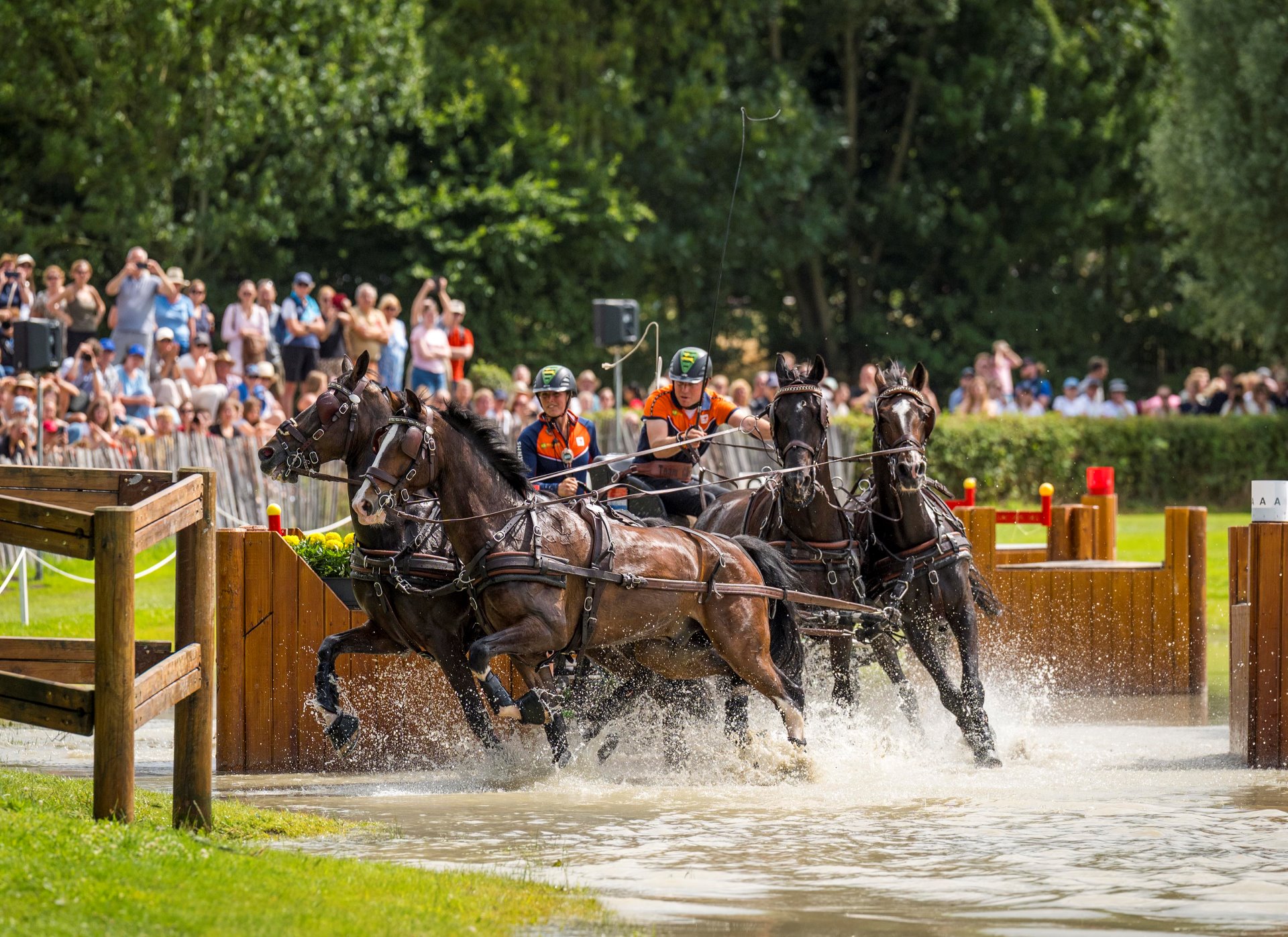 Four-in-hand carriage driving team: carriage with driver and navigator in orange team outfits galloping through a water obstacle in front of a large crowd in a green park setting.