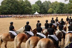 Riders on numerous light-brown Haflingers are gathered in formation on a riding arena; in the foreground is a group wearing black T-shirts and white riding breeches, whilst in the background there is a long line of other pairs set against a backdrop of trees, with many spectators lining the edge.