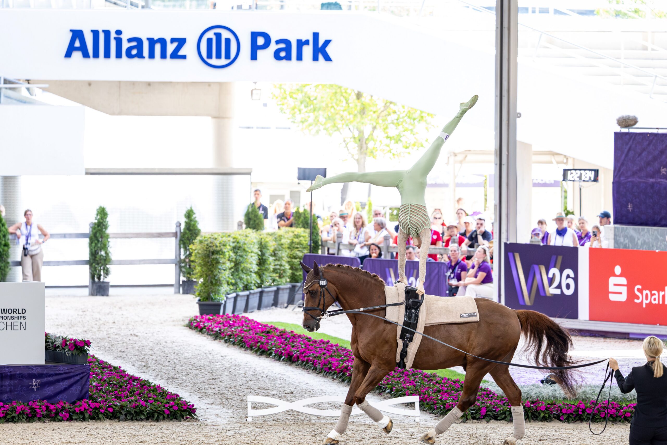 A vaulting rider in a light green tracksuit is performing a handstand split on the back of a trotting brown horse in the arena, led on a lunge line, surrounded by flowerbeds, spectator stands and the ‘Allianz Park’ sign.