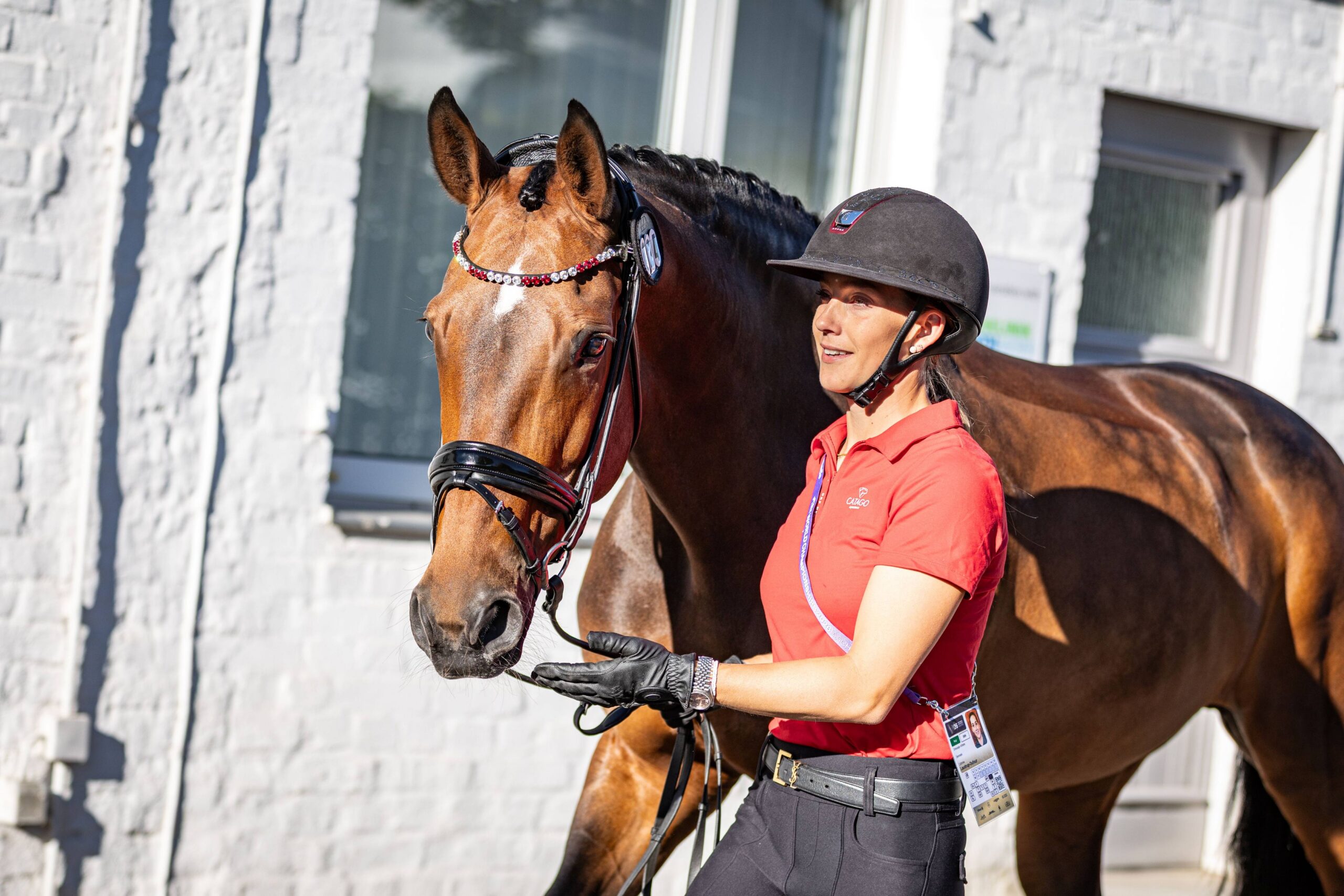 A woman in a red polo shirt and riding helmet is leading a brown horse by its bridle; the horse is wearing a browband adorned with red and white stones, and in the background a light-coloured house wall with windows can be seen.