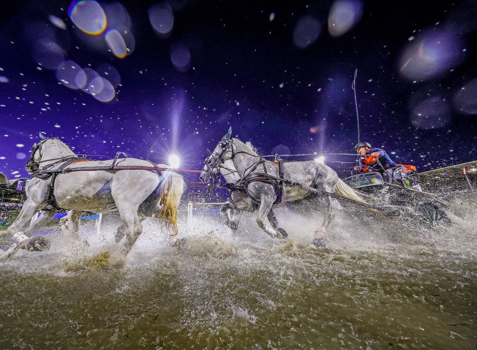 Four grey horses dynamically pull a carriage through a water obstacle at night, while water splashes in all directions. Floodlights, stands with spectators and waving flags can be seen in the background. The scene is dramatically characterised by spotlights and raindrops in the light.
