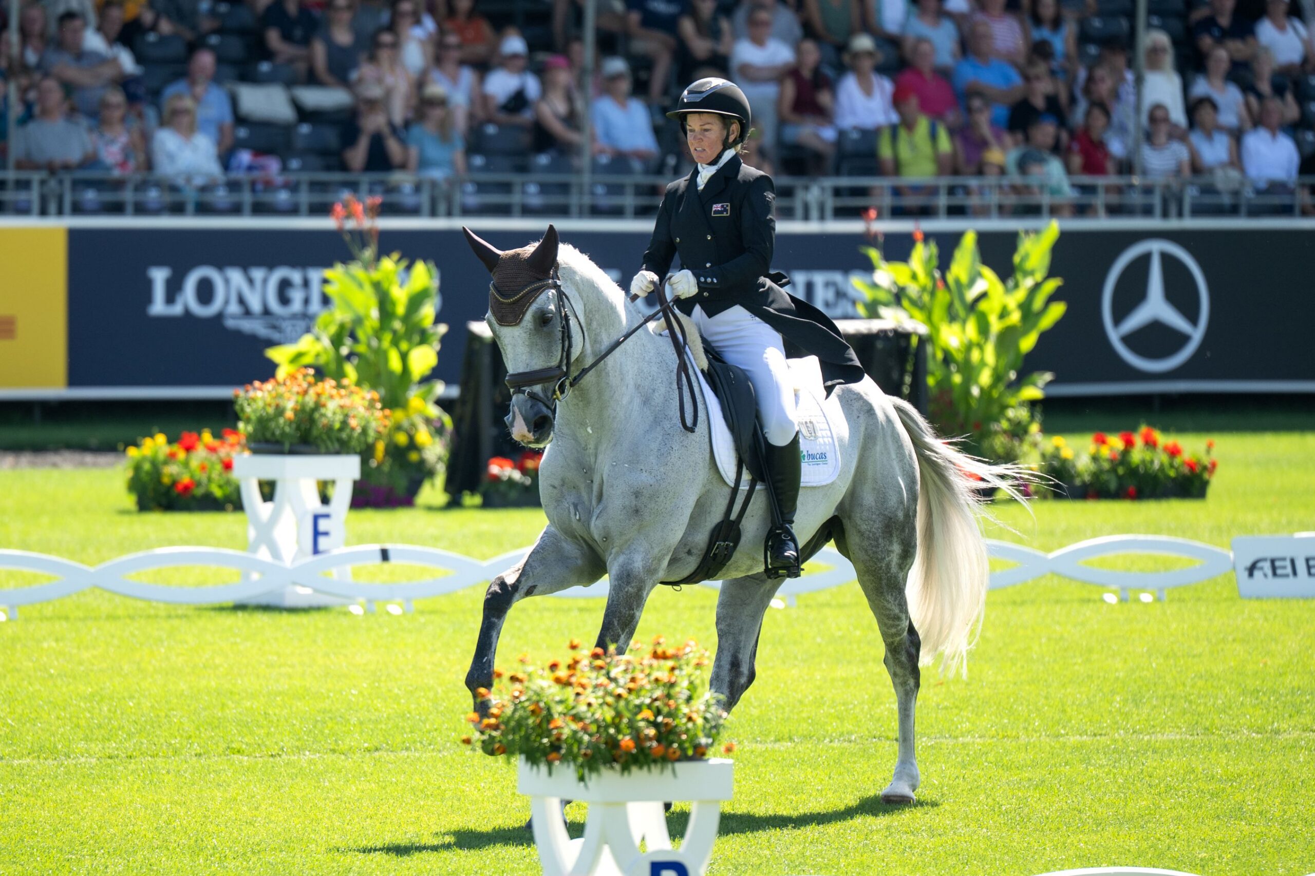 A rider in a white shirt bearing the ‘British Equestrian’ logo leads a bay horse, bearing start number 139, at a walk across the well-tended green lawn; in the foreground are colourful floral decorations, whilst in the background, the dressage arena’s boundary and the tournament backdrop are blurred.
